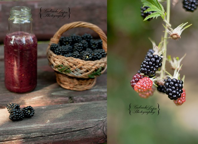 blackberry smoothie