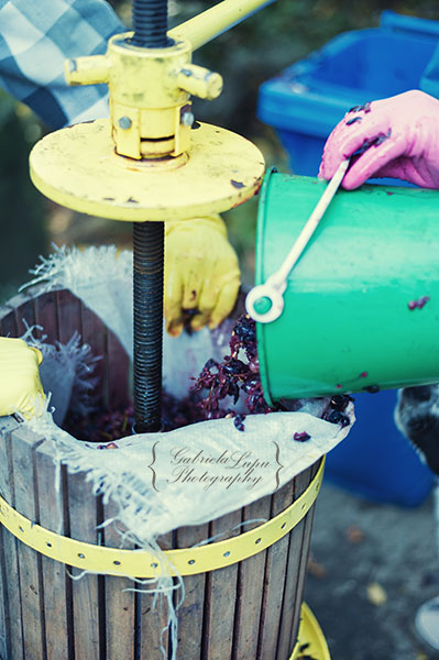 traditional wine making process