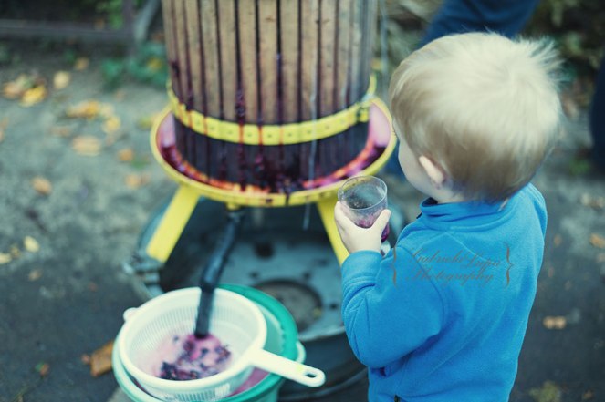 traditional wine making process