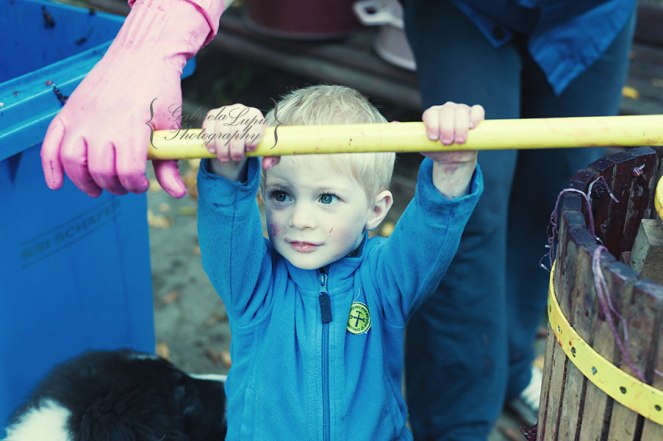 traditional wine making process