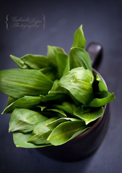 wild_garlic