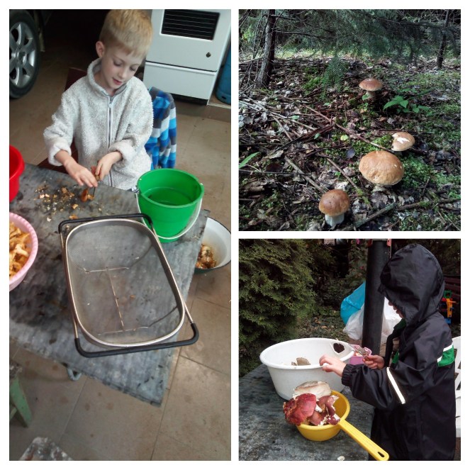 IMG_20180710_103224-COLLAGE