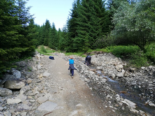 IMG_20190628_172505_