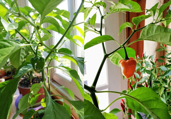 img_20190901_134510___